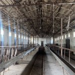 Продажа Объект, Перекюшкюль, AAAF PARK, Абшерон район 14