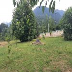 Satılır Torpaq Qəbələ 2