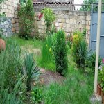 Kirayə (günlük) 4 otaqlı Həyət evi/villa Oğuz 16