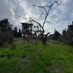 Satılır Torpaq, Şüvəlan, Xəzər rayonu 4