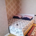 Kirayə (aylıq) 2 otaqlı Köhnə Tikili, Elmlər akademiyası metrosu, Yasamal rayonu 4