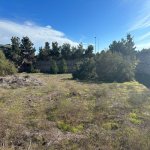 Satılır Torpaq, Şağan, Xəzər rayonu 1