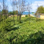 Satılır Torpaq Xaçmaz / Nabran 2