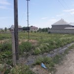 Satılır Torpaq Şabran 1