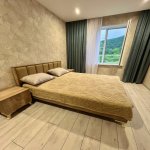 Kirayə (günlük) 5 otaqlı Bağ evi İsmayıllı 8