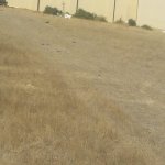 Satılır Torpaq, Saray, Abşeron rayonu 4
