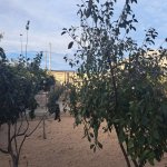 Satılır 4 otaqlı Həyət evi/villa, Şüvəlan, Xəzər rayonu 20