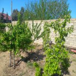 Kirayə (aylıq) 5 otaqlı Bağ evi, Mərdəkan, Xəzər rayonu 12