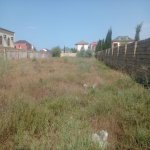 Satılır Torpaq, Fatmayi, Abşeron rayonu 3