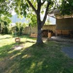 Kirayə (günlük) 3 otaqlı Həyət evi/villa Qəbələ 6