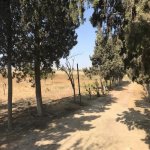 Satılır Torpaq, Suraxanı rayonu 8