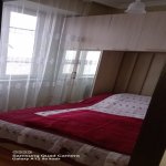 Kirayə (aylıq) 1 otaqlı Yeni Tikili Sumqayıt 6