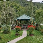 Kirayə (günlük) 2 otaqlı Həyət evi/villa Qəbələ 12