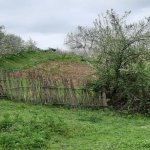 Satılır Torpaq Quba 3