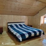 Kirayə (günlük) 5 otaqlı Həyət evi/villa Qəbələ 9