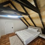 Kirayə (günlük) 3 otaqlı Həyət evi/villa Qəbələ 19