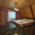 Kirayə (günlük) 4 otaqlı Həyət evi/villa Qəbələ 10