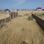 Satılır Torpaq, Abşeron rayonu 2