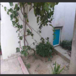 Satılır 4 otaqlı Həyət evi/villa, Zabrat qəs., Sabunçu rayonu 10