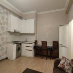Kirayə (aylıq) 1 otaqlı Yeni Tikili, 28 May metrosu, Nəsimi rayonu 8