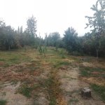Satılır Torpaq Quba 4