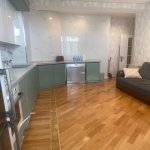 Kirayə (aylıq) 2 otaqlı Yeni Tikili, Nəriman Nərimanov metrosu, Nəriman Nərimanov parkı, Nərimanov rayonu 2