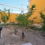 Satılır 3 otaqlı Həyət evi/villa, Koroğlu metrosu, Zabrat qəs., Sabunçu rayonu 1