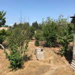 Продажа Участок, Сабунчу район 8