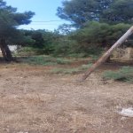 Продажа Объект, пос. Локбатан, Гарадаг район 10