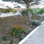 Kirayə (günlük) 4 otaqlı Bağ evi, Novxanı, Abşeron rayonu 8