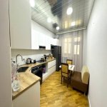 Kirayə (aylıq) 2 otaqlı Yeni Tikili, 8 Noyabr metrosu, Nəsimi rayonu 4