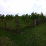 Продажа Участок Гусар 2