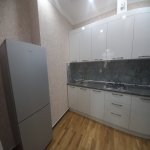 Аренда 2 комнатная Новостройка, Насими район 10