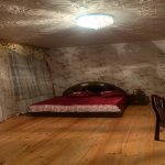 Kirayə (günlük) 4 otaqlı Bağ evi Şəki 15