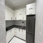 Kirayə (aylıq) 3 otaqlı Yeni Tikili, Gənclik metrosu, Nəsimi rayonu 12