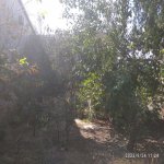 Satılır 5 otaqlı Həyət evi/villa, Azadlıq metrosu, Binəqədi qəs., Binəqədi rayonu 21