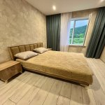 Kirayə (günlük) 5 otaqlı Bağ evi İsmayıllı 8