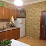 Satılır 2 otaqlı Həyət evi/villa, Azadlıq metrosu, Binəqədi qəs., Binəqədi rayonu 9