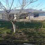 Satılır 7 otaqlı Bağ evi, Sabunçu rayonu 15