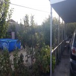 Satılır 3 otaqlı Bağ evi, Pirşağı qəs., Sabunçu rayonu 3