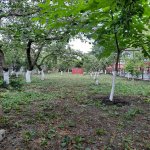 Kirayə (günlük) 3 otaqlı Həyət evi/villa Şəki 11