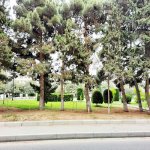 Продажа 1 комнатная Вторичка, м. Халглар Достлугу метро, 8-ой километр, Низаминский р-н район 13