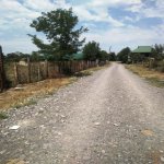 Satılır Torpaq Qəbələ 3