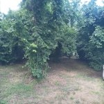 Kirayə (günlük) 3 otaqlı Həyət evi/villa Oğuz 15
