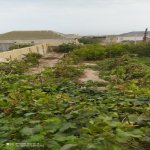 Satılır Torpaq, Fatmayi, Abşeron rayonu 1