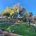 Kirayə (günlük) 3 otaqlı Bağ evi, Mərdəkan, Xəzər rayonu 17