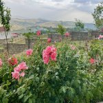 Satılır 6 otaqlı Həyət evi/villa Şamaxı 12