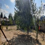 Satılır Torpaq, Saray, Abşeron rayonu 4