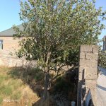 Satılır Torpaq, Məhəmmədli, Abşeron rayonu 6