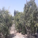 Satılır 4 otaqlı Bağ evi, Novxanı, Abşeron rayonu 5
